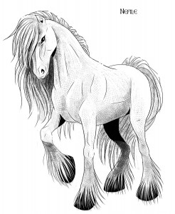 Nèfile Cavallo