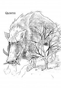 Quontra
